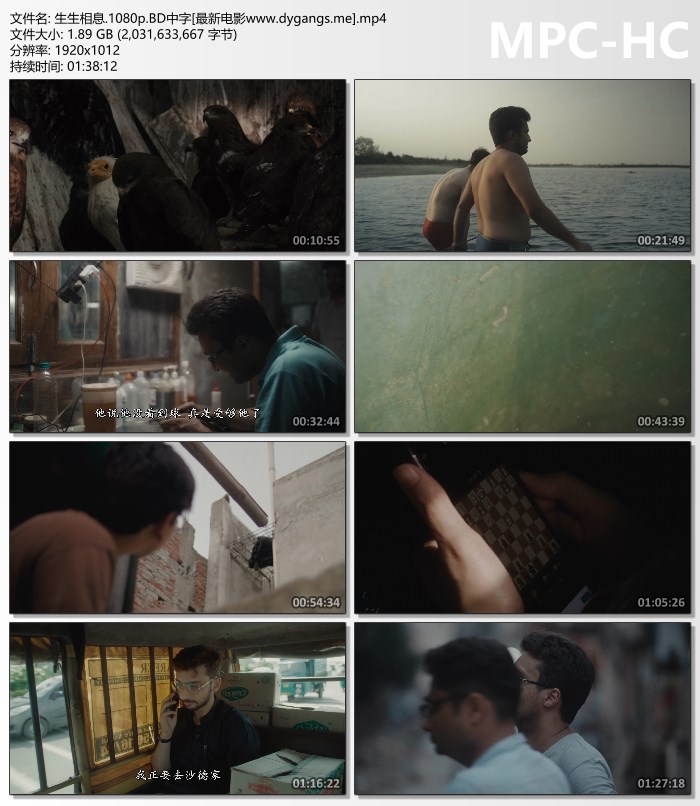 《海子角社区新地址》【历史那些事3】 8触不到的朋友