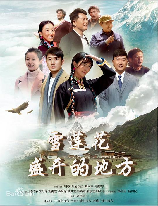 花蝴蝶高清版免费版